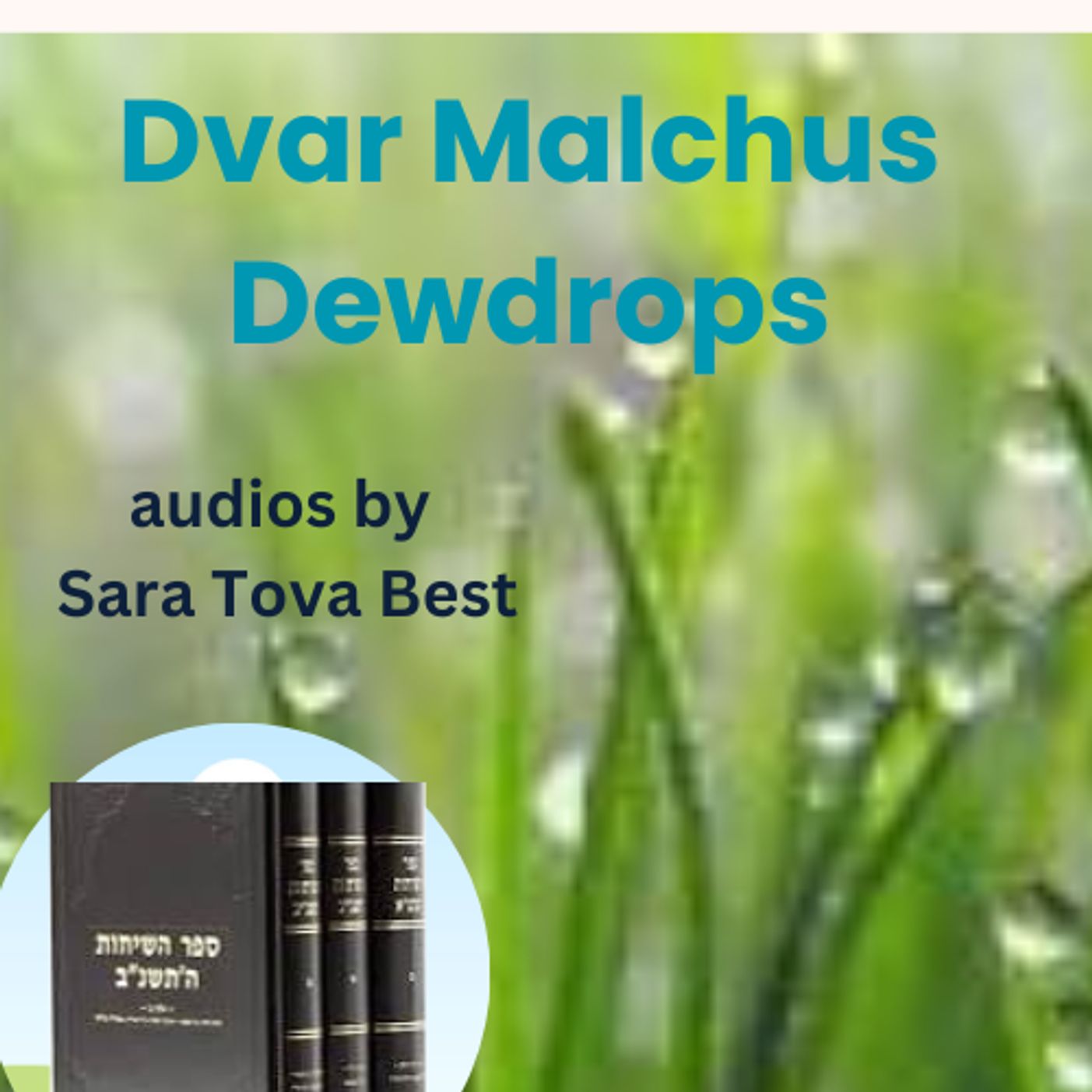  Noach(1)- First week on the job