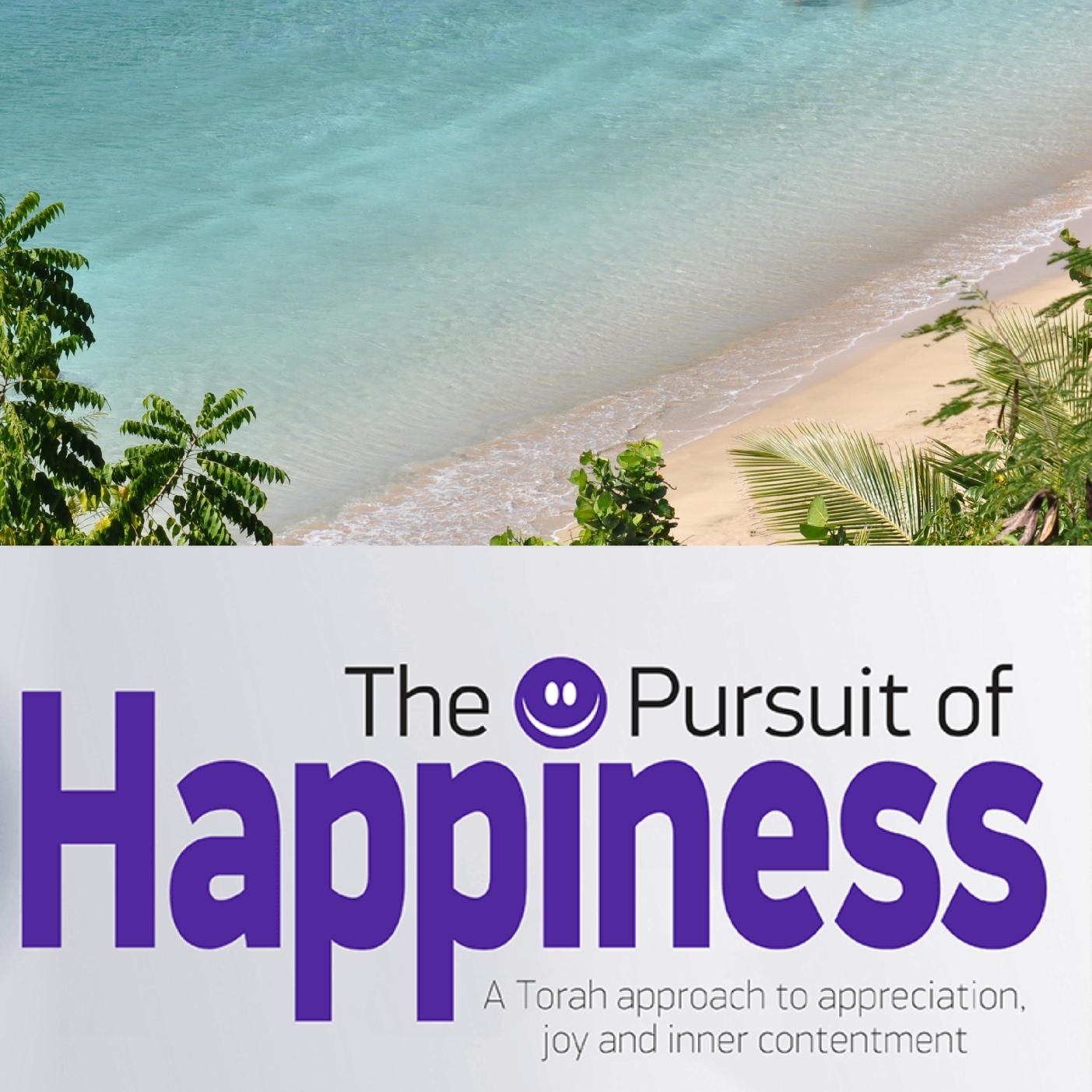 The Pursuit of Happiness- Accepting the Master Plan