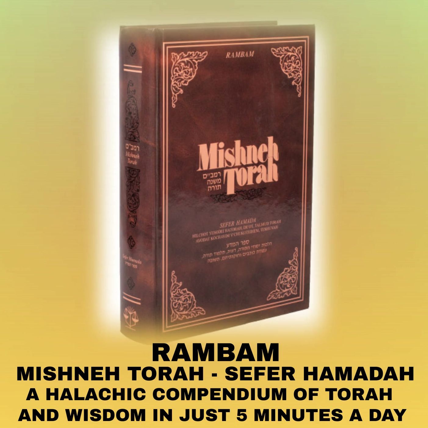 THE RAMBAM #126 "Taking Showers"