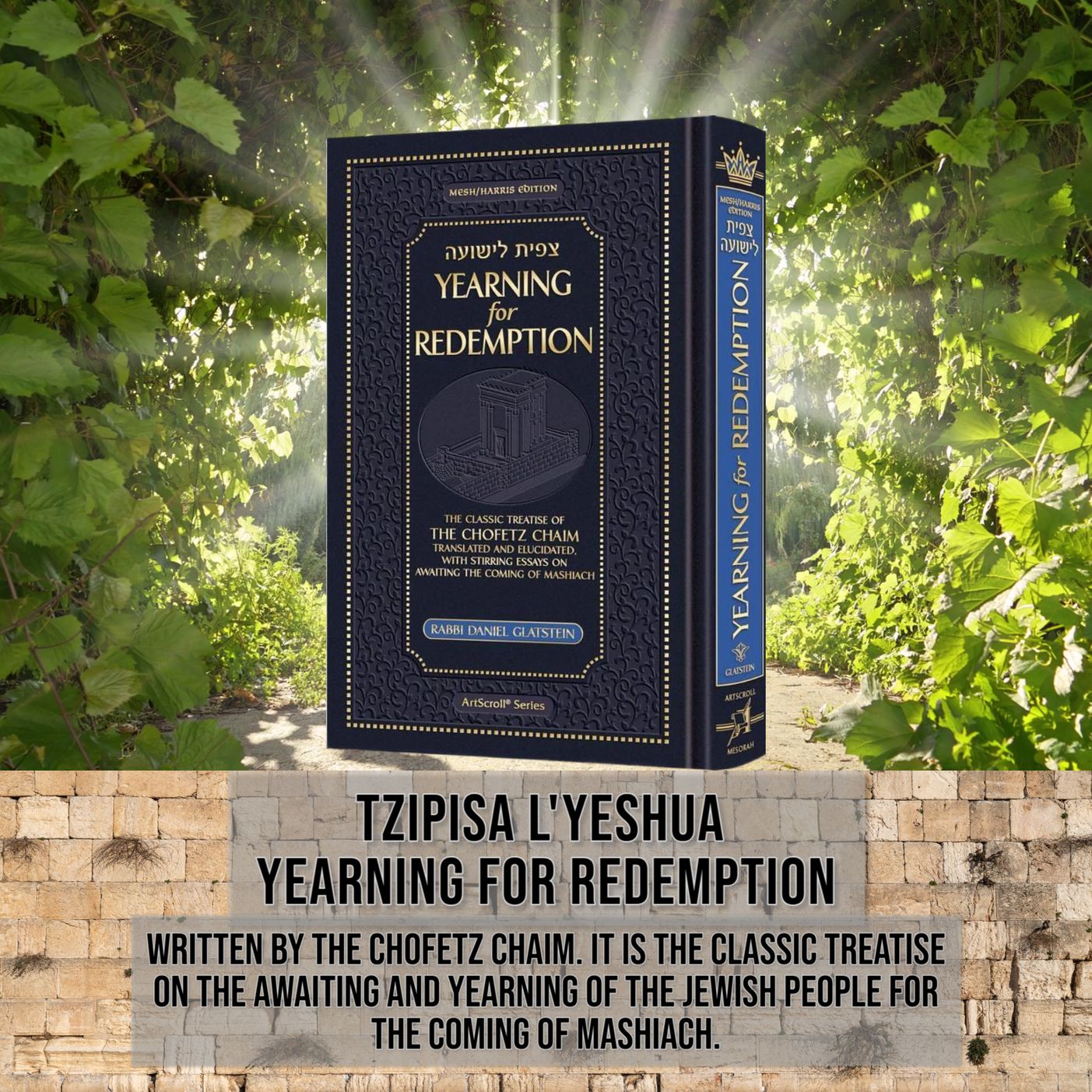 TZIPISA L'YESHUA #27 "It Takes Time to Purify All of Klal Yisrael"