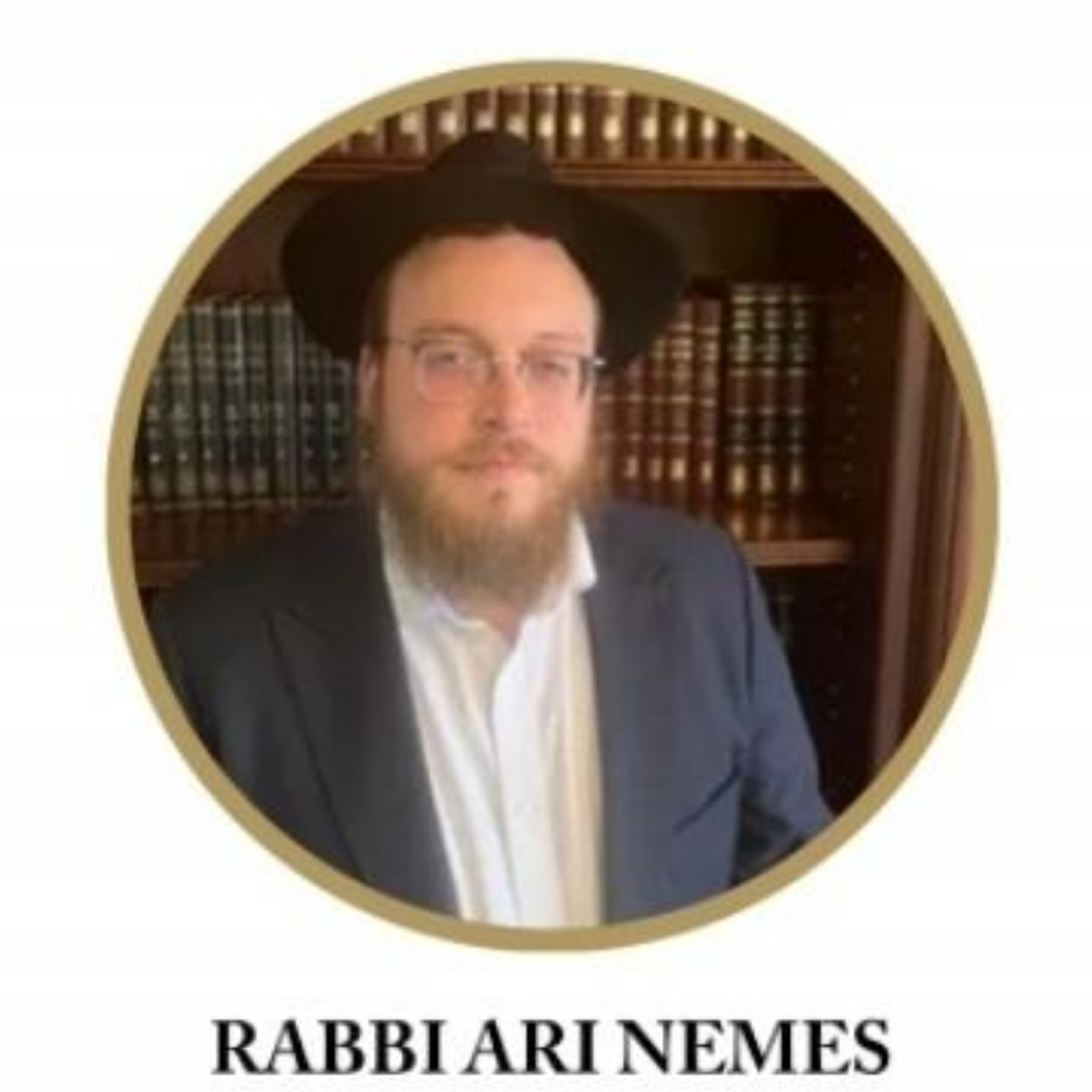 Rabbi Ari Nemes 1 Perek Rambam Day 2