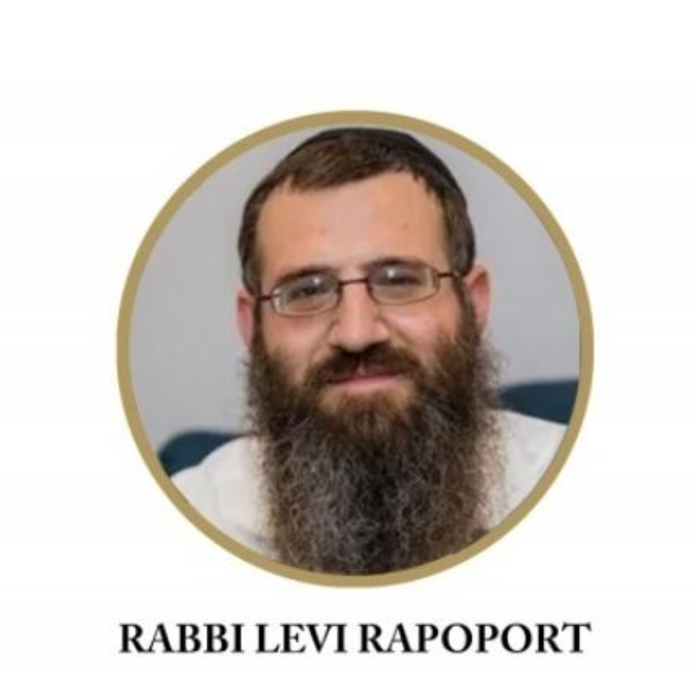 Rabbi Levi Rapoport - 1 Perek Rambam Day 1