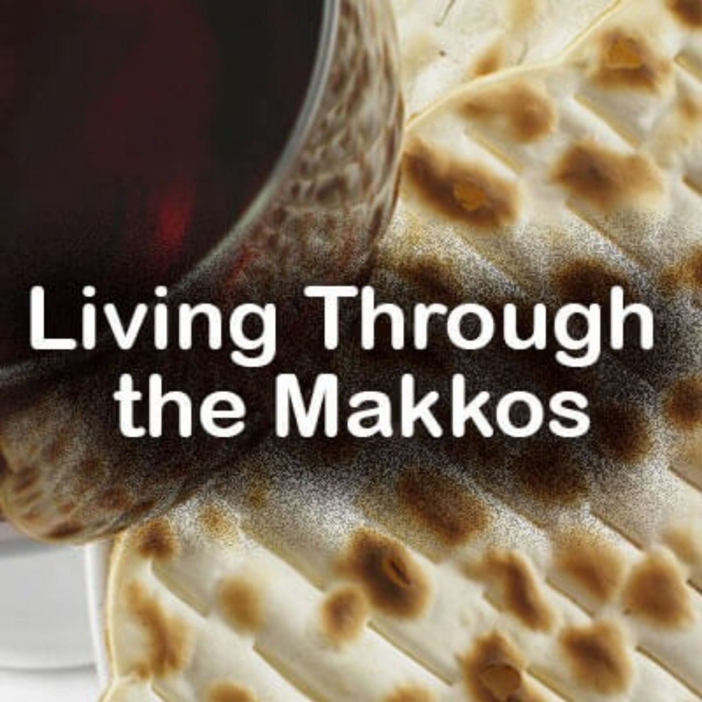 Pesach: Living Through the Makos 3