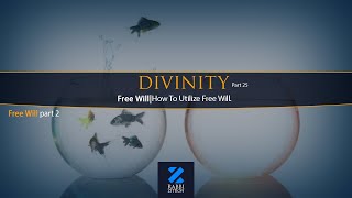 Divinity Part 25: Free Will part 2- Use It Or Lose It