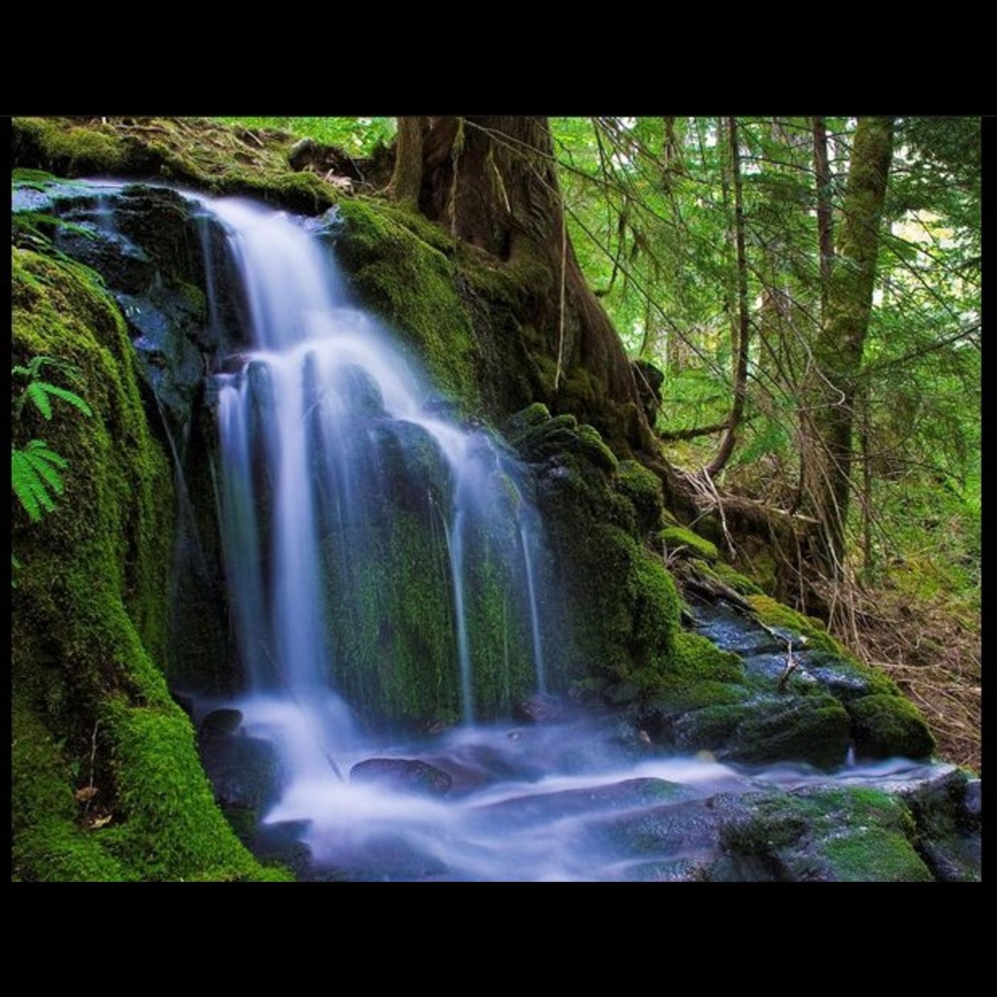 Tenth Principle of Faith