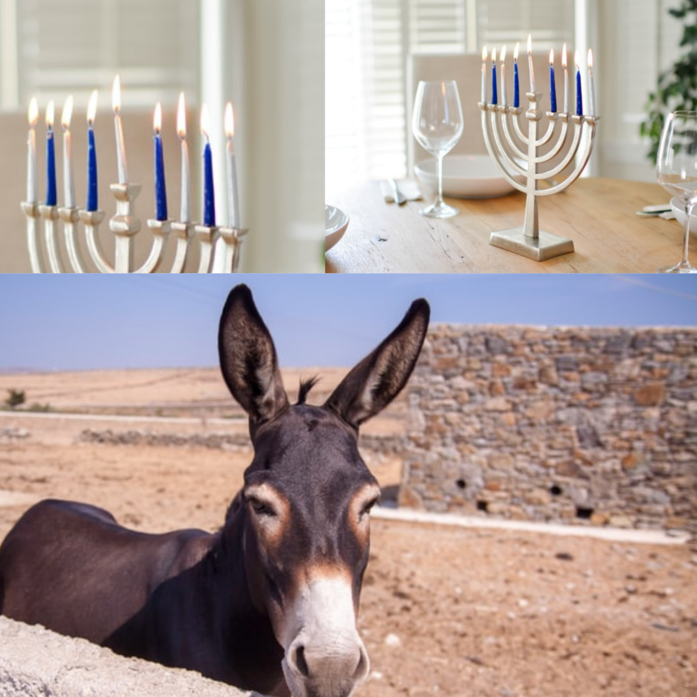 The Mule's Foal: a tale of The Caesar, the Rabbi and the Philosopher. Ecclesiastes/Koheles # 6
