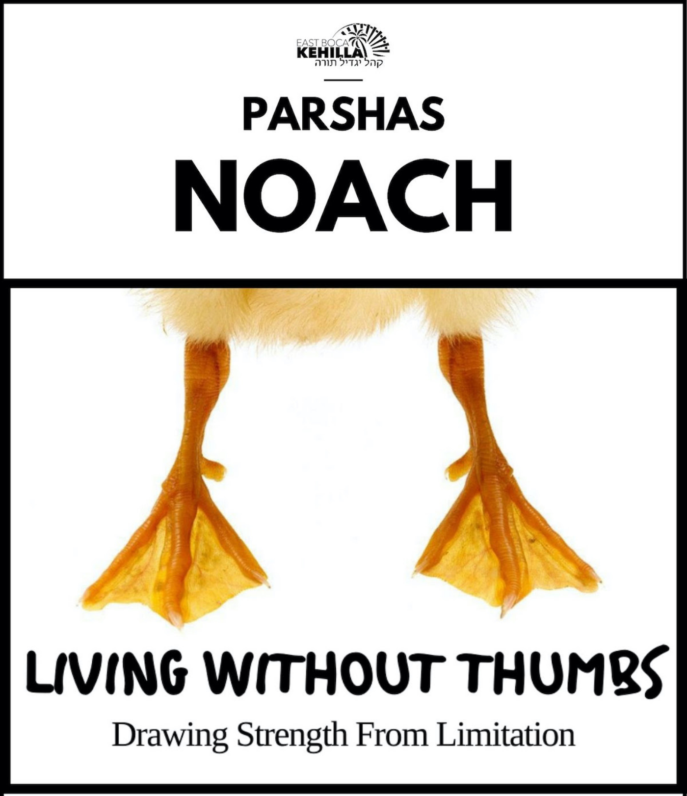 Parshas Noach: Living Without Thumbs - Drawing Strength from Limitation