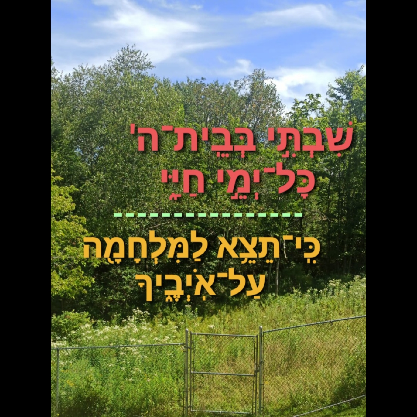 Mussar Minutes - Elul/Ki Seitzei: Everywhere We Go! 🚶🏻‍♂️