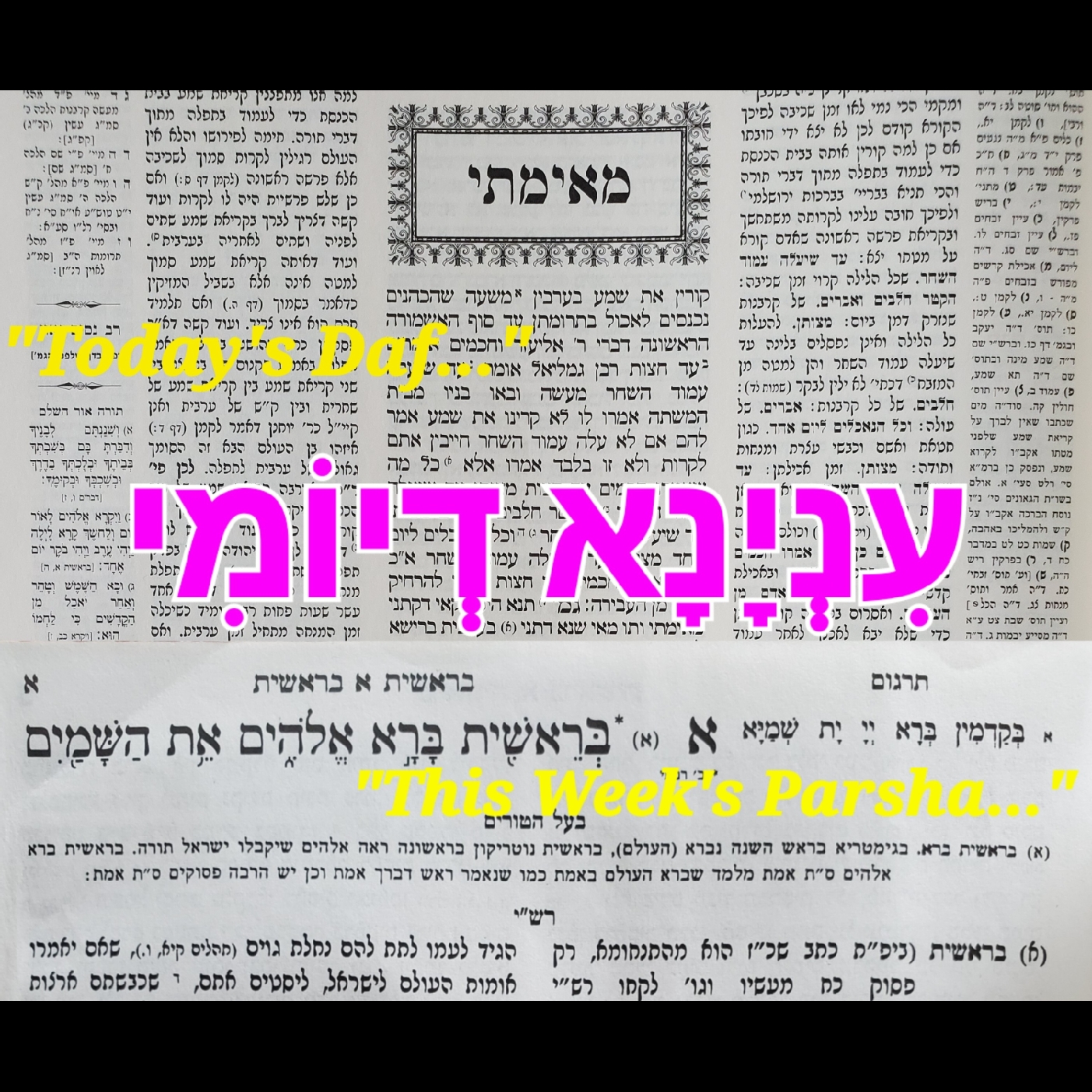 Inyana D'Yomi/עִנְיָנָא דְיוֹמִי - B'Ha'alosecha & Yevamos 104: The Mind-blowing Connection Between the Spit of the Yevamah & the Spit of 