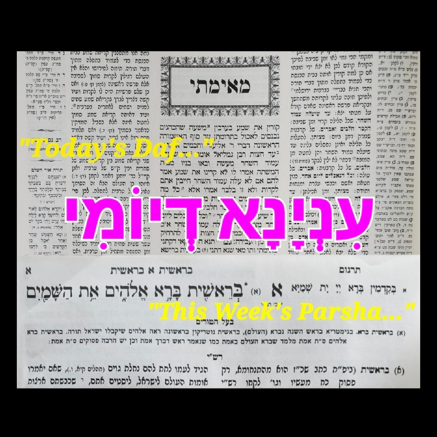 Inyana D'Yomi/עִנְיָנָא דְיוֹמִי - Vayeishev & Nedarim 50: The Test of Handsomeness 😎 (Plus, our first Yerushalmi Shout-Outs, Brachos 14-15, 30)