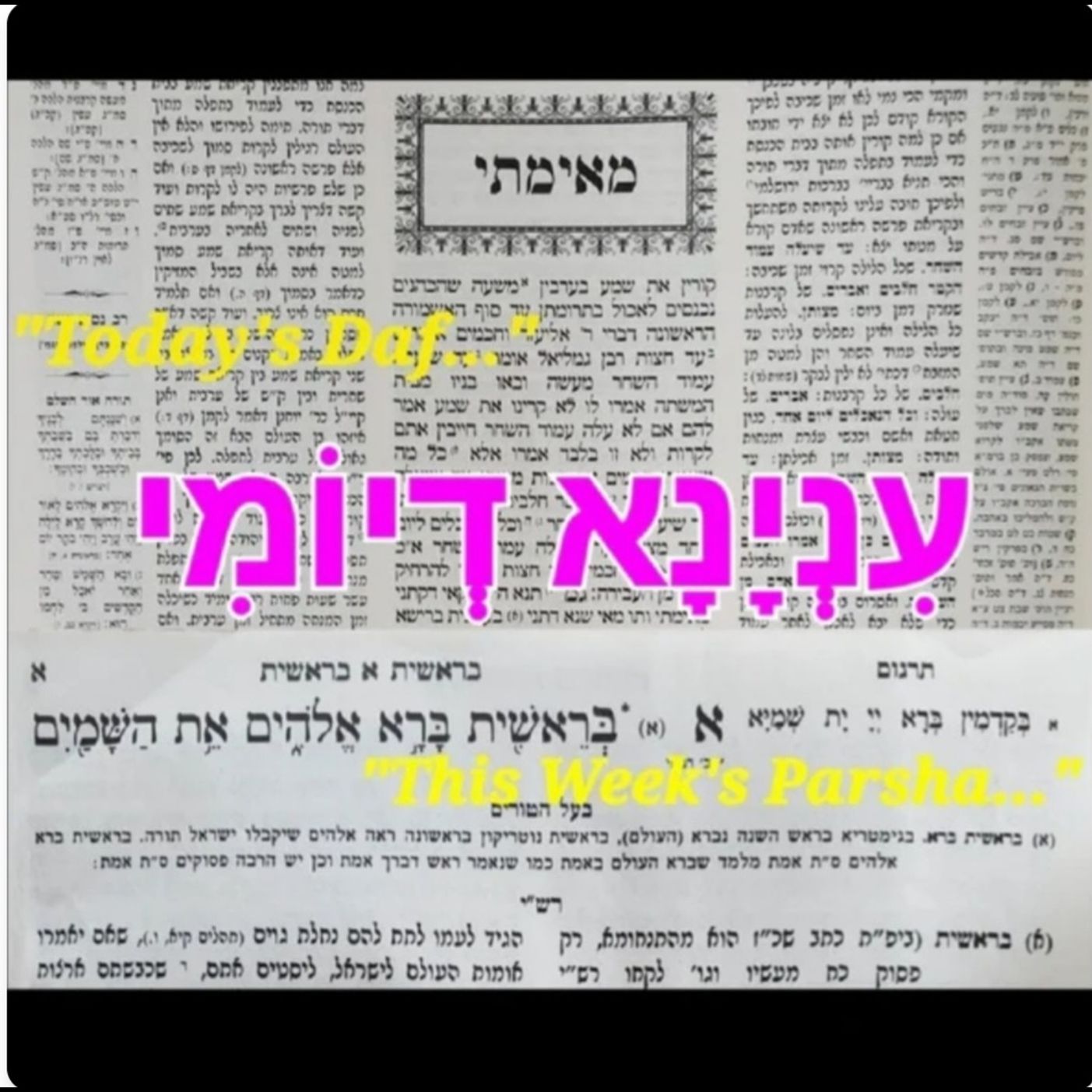 Inyana D'Yomi/עִנְיָנָא דְיוֹמִי - Chayei Sarah & Zevachim 62: "B'nei Keturah" (!!!) - Not the WORST Insult, but the PERFECT Insult!