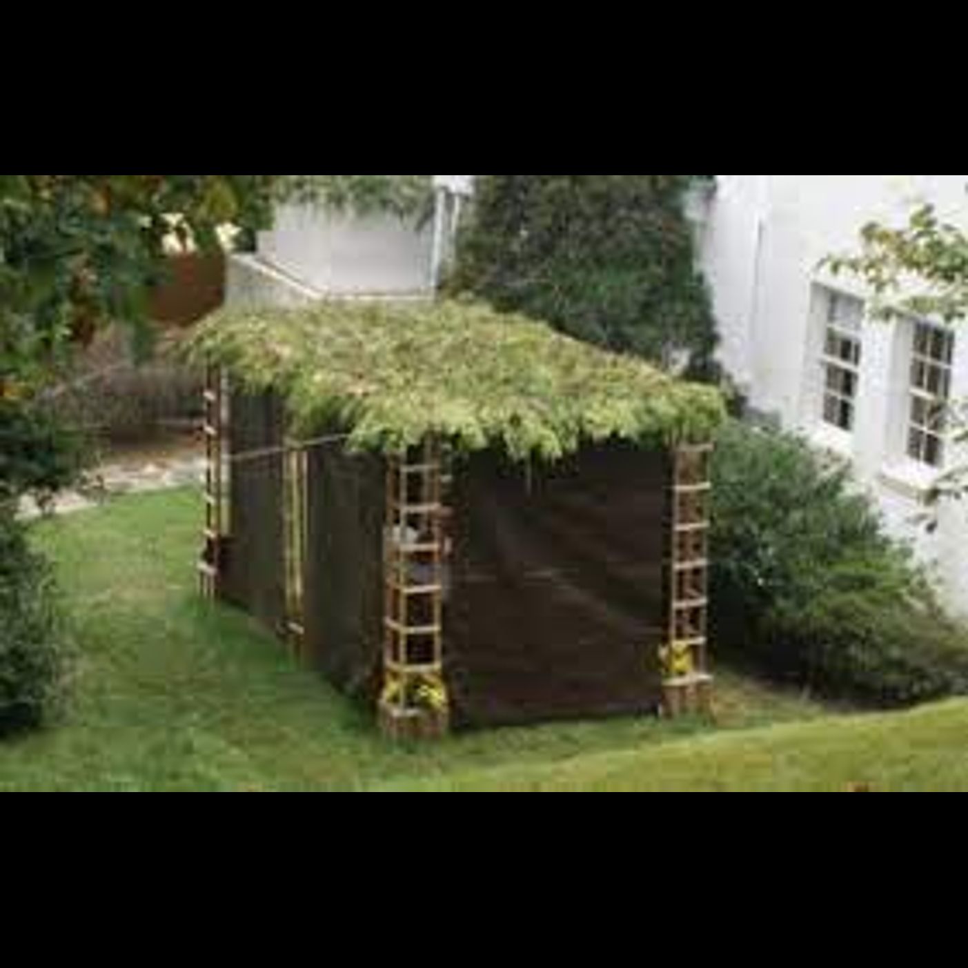 Machshava series: Sukkos- meriting the clouds of glory