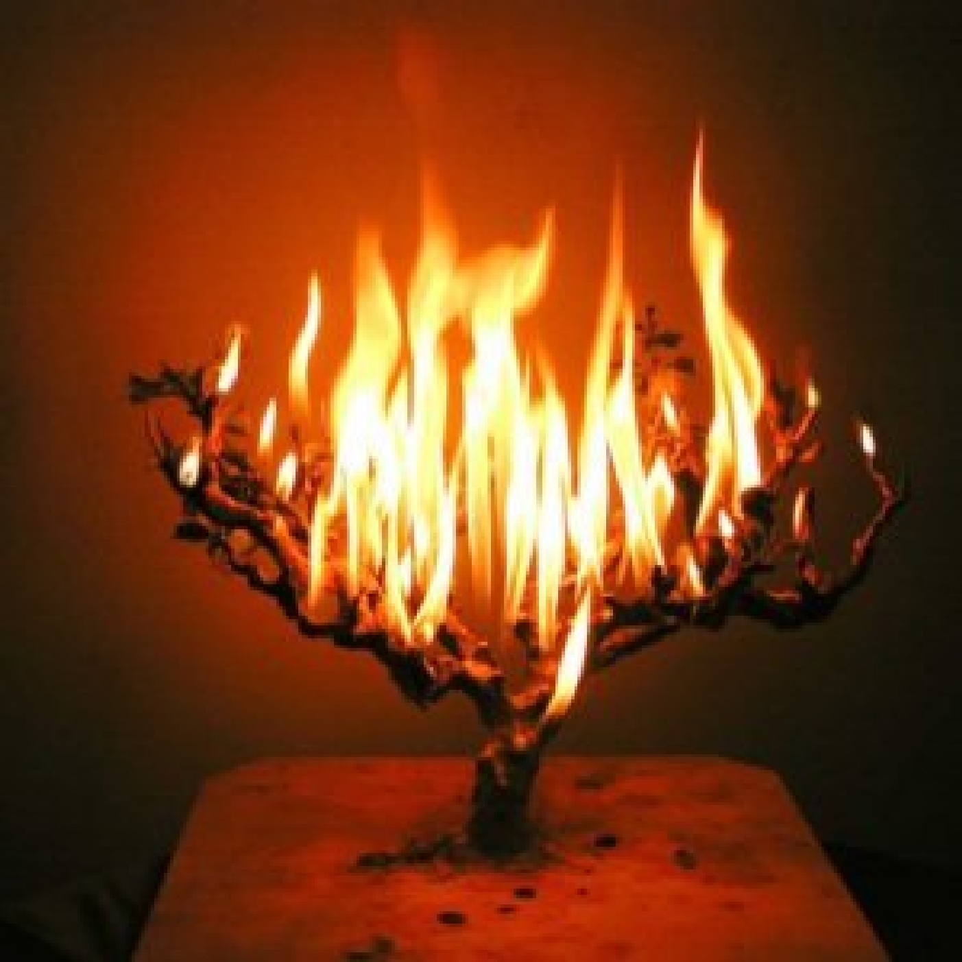 Rischa D'Araisa-Season 10-Episode 13-Sheva Brochos Standoff-Ahavah and Achvah Vs Dykanus and Ameilus-Rav Izak Scher and The Chazon Ish
