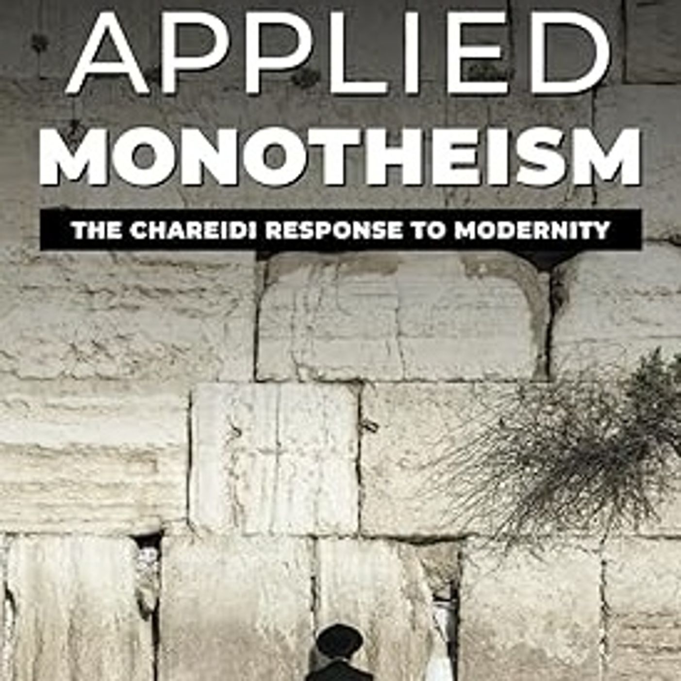 Dr. Yechiel Reit discusses his book Applied Monotheism-The Charedi Response to Modernity-with Rav Mayer Schiller