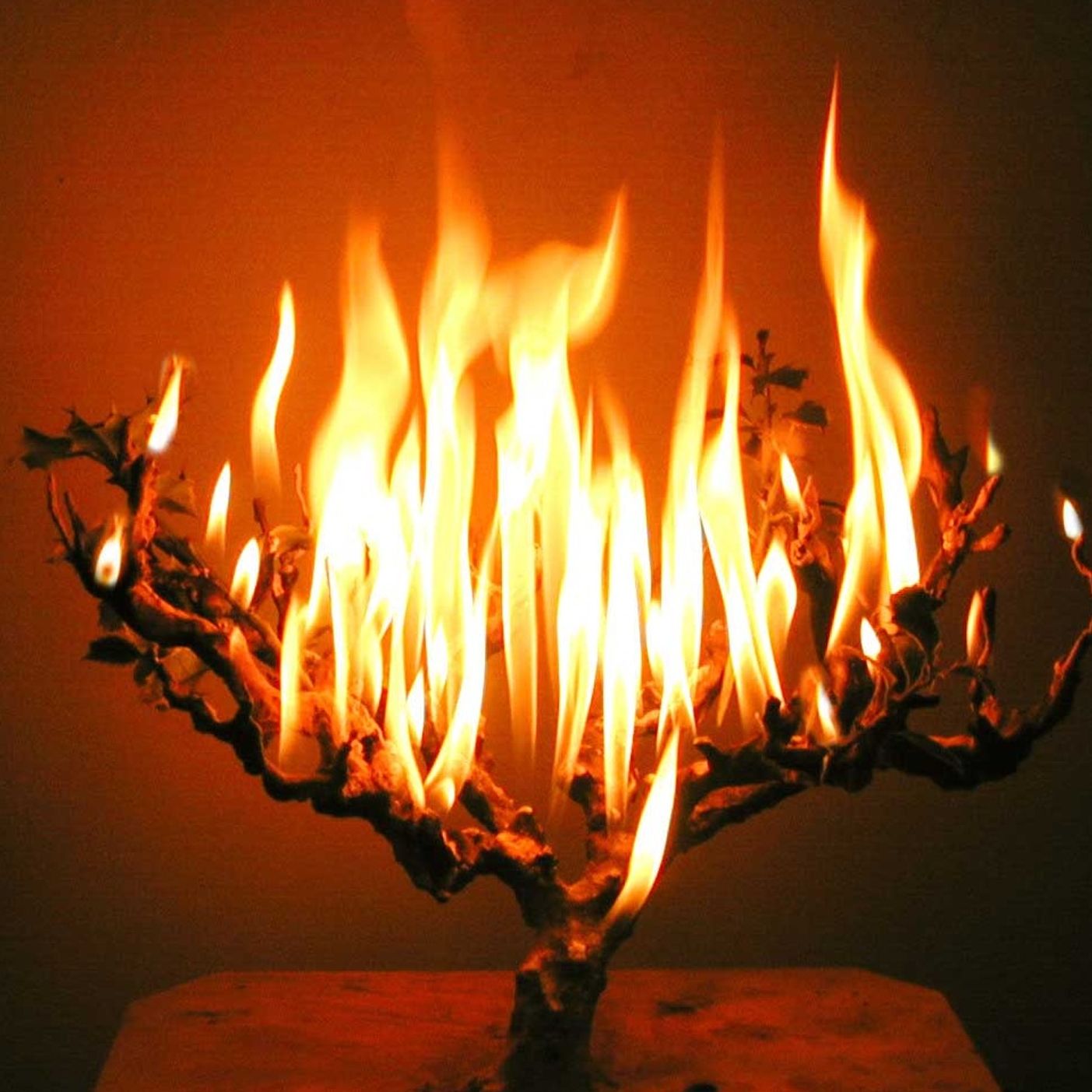 Rischa D'Araisa-Season 12-Episode 22-It's Not What Our Zaides Did-The Thank You Hashem Phenomenon and Its Critics