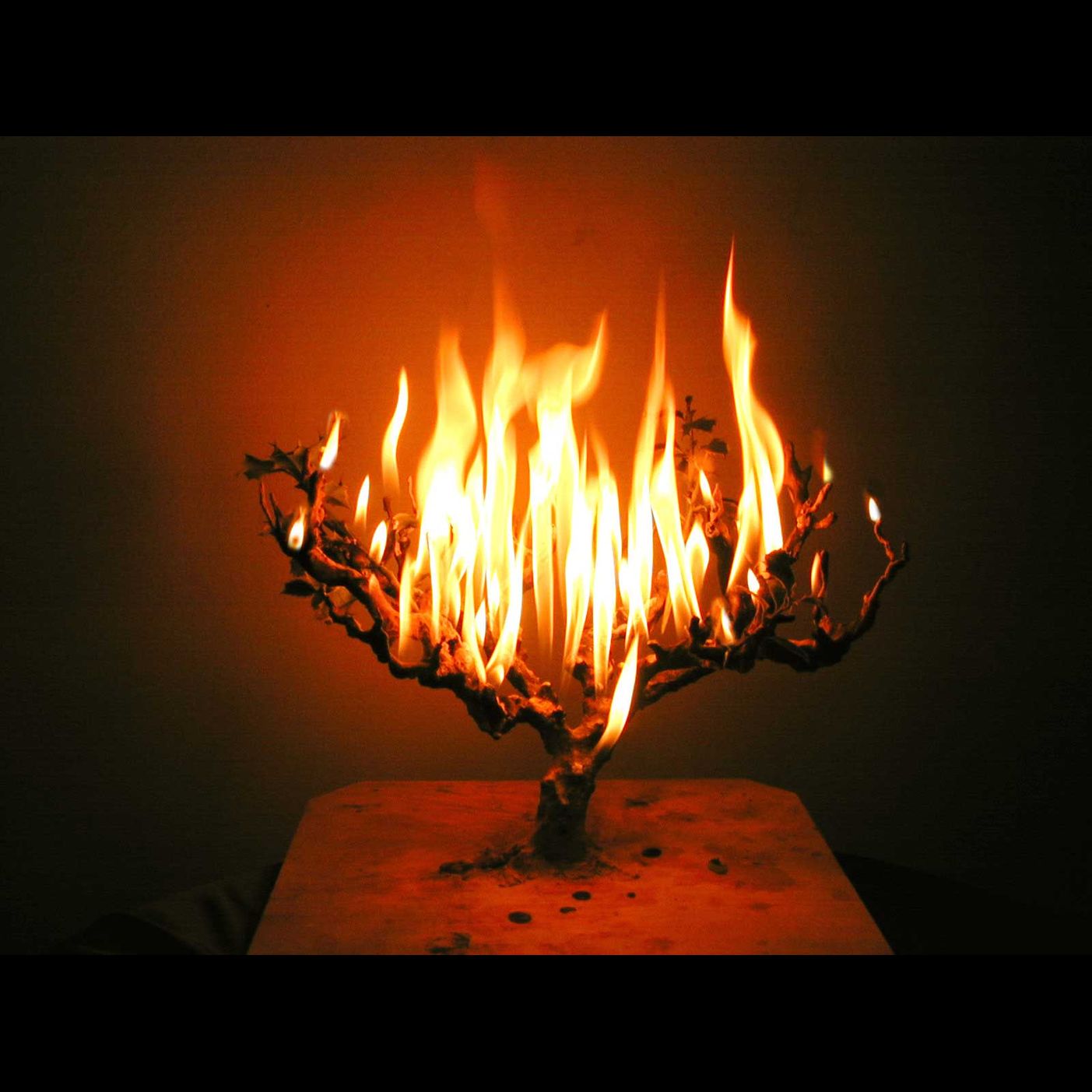 Rischa D'Araisa-Season 13 Premiere- כבוד זה לזה-Respect and Honor in the Era of Trump