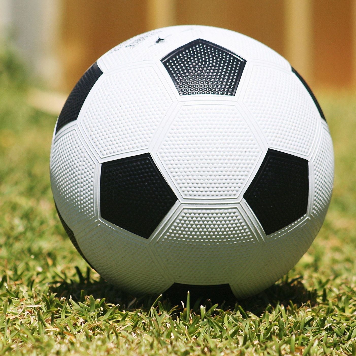 In the World Cup's Wake-Black and White Reflections and Suggestions-with Rabbi Mayer Schiller