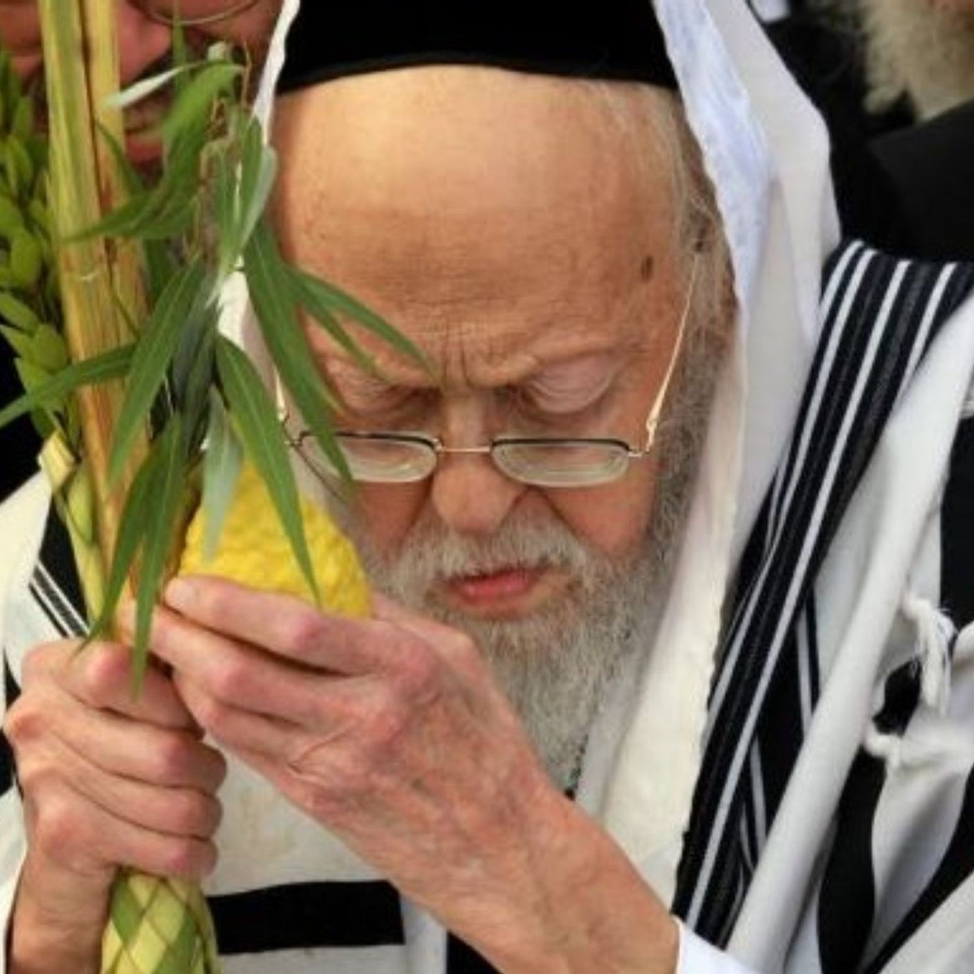 Birchas Lulav in the Sukkah or in Shul?-Taking the Daled Minim on Shabbas even outside of Yerushalayim