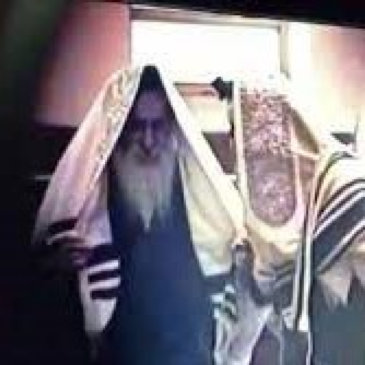 HaRav Hershelleh Spinka ZTZL - IN DER HAIM (IN THE HOME!)