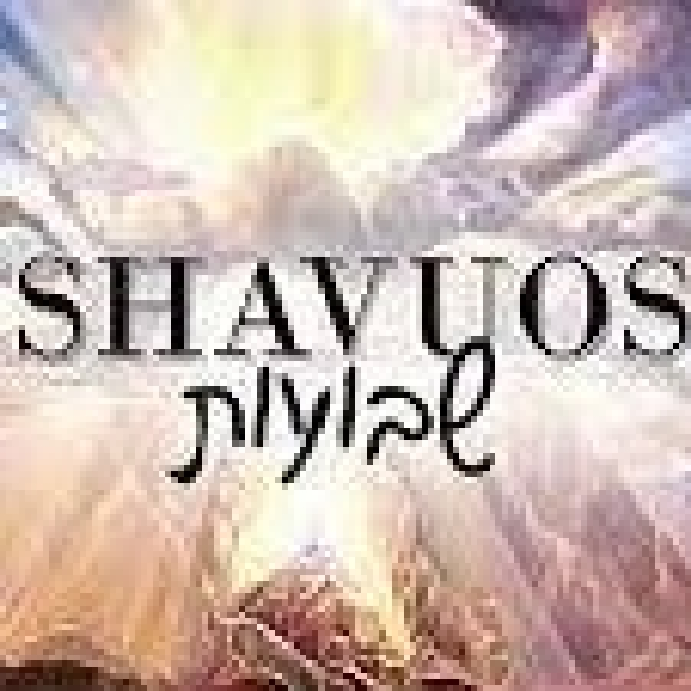 SHAVUOS SHIUR 01 - PART 04